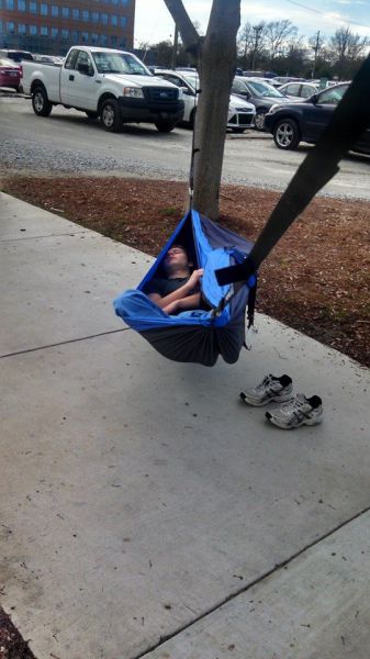 Morning Picdump