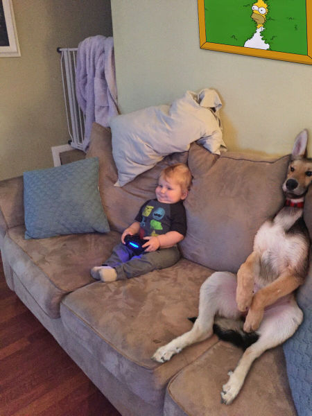 Morning Picdump