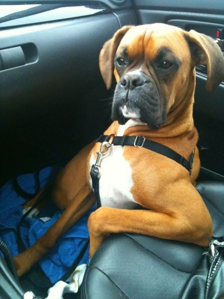 Morning Picdump