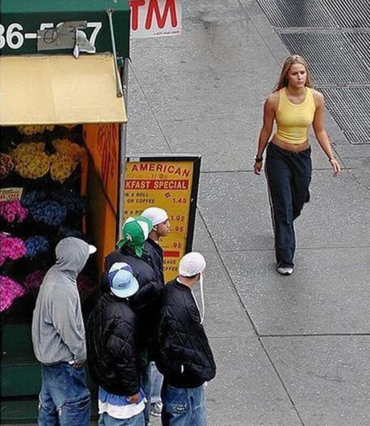 Morning Picdump