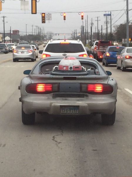 Morning Picdump