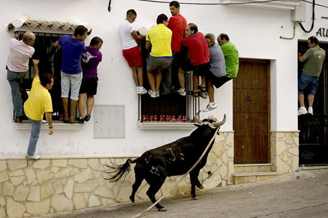 Morning Picdump