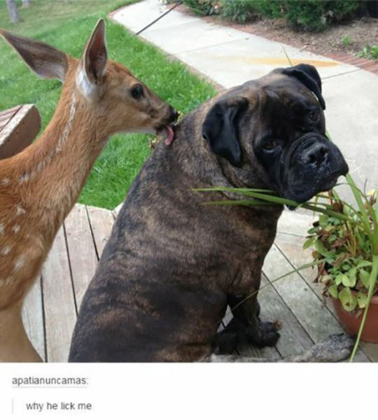 Daily Picdump