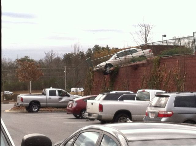 Daily Picdump