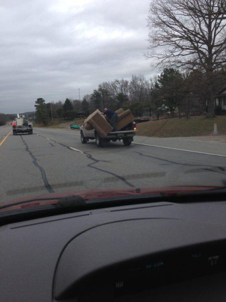 Daily Picdump