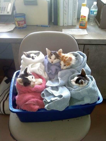 Daily Picdump