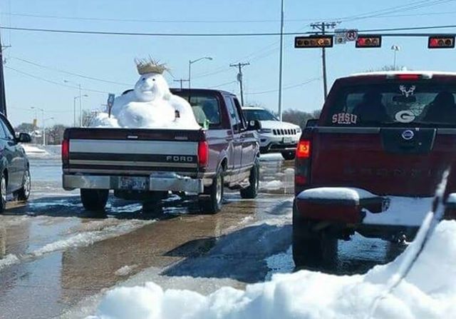 Daily Picdump
