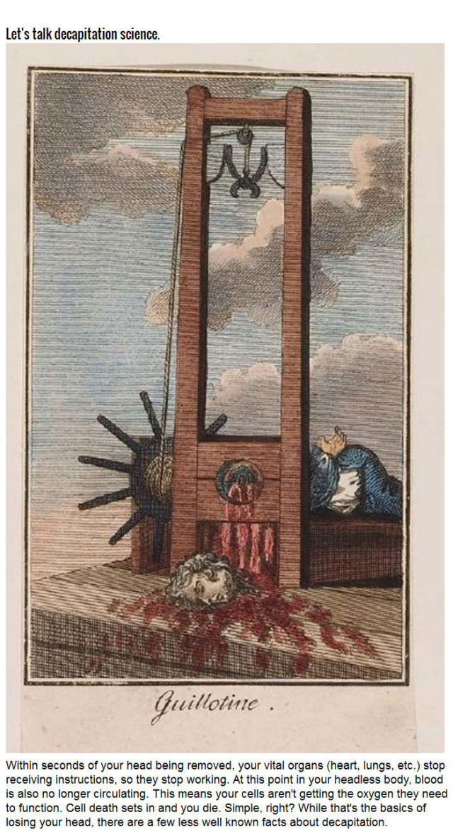 The Factual and Scientific History of Decapitation