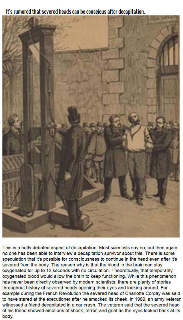 The Factual and Scientific History of Decapitation