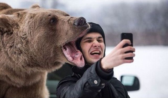 Daily Picdump