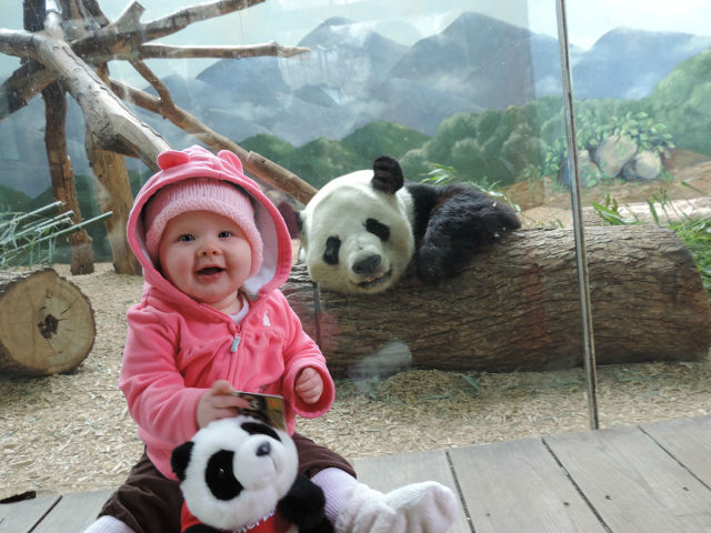 Morning Picdump