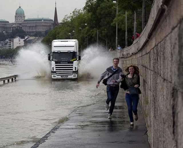 Morning Picdump