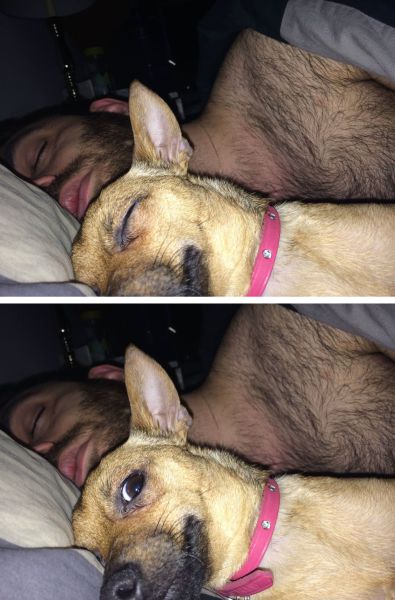 Daily Picdump