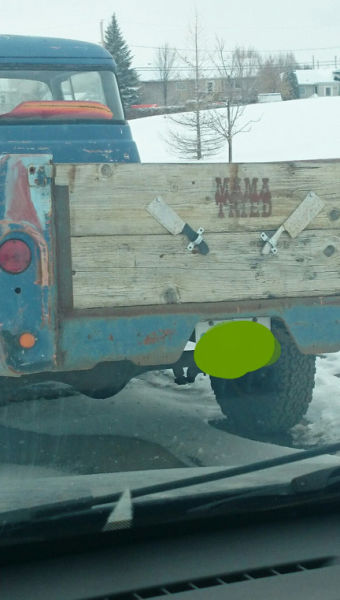 Morning Picdump