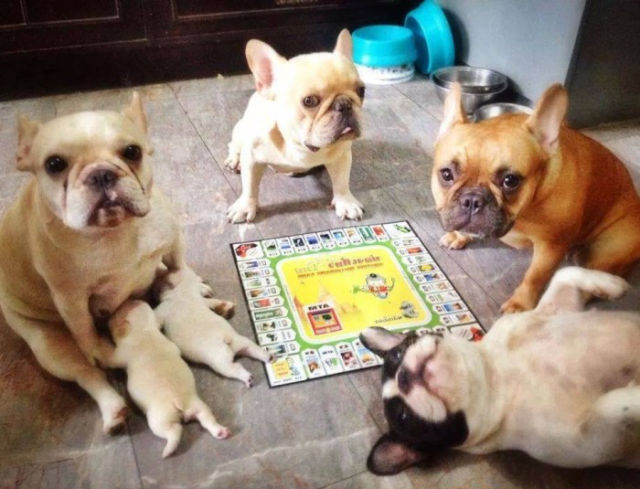 Morning Picdump