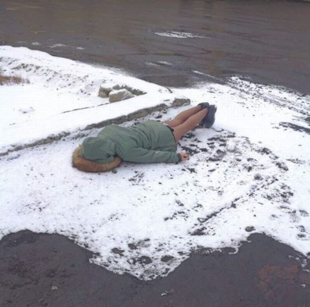 Daily Picdump