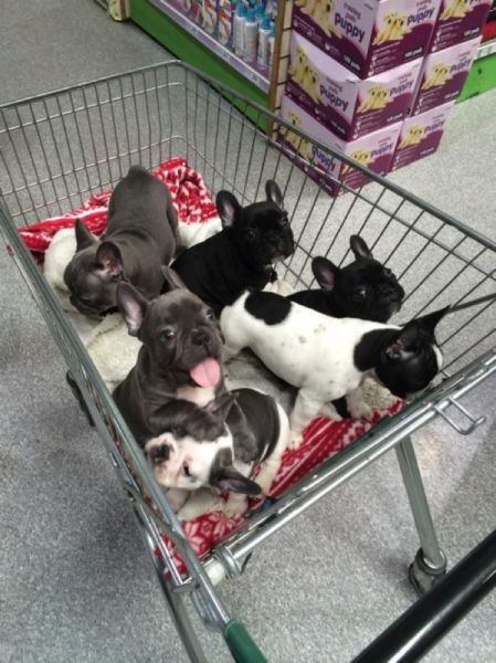 Daily Picdump