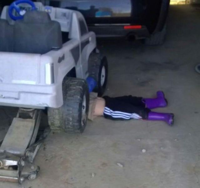 Morning Picdump