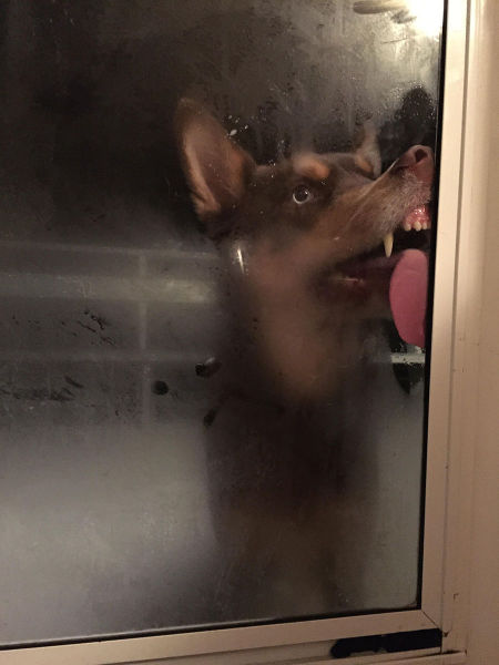 Content Image