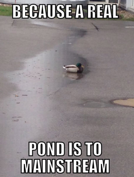 Content Image