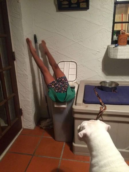 Daily Picdump