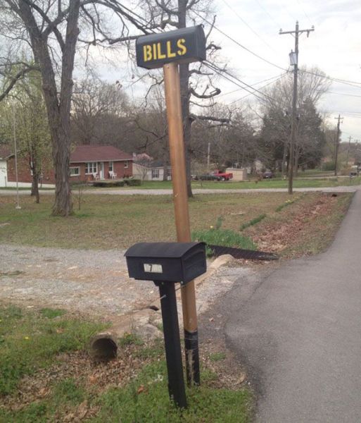 Content Image