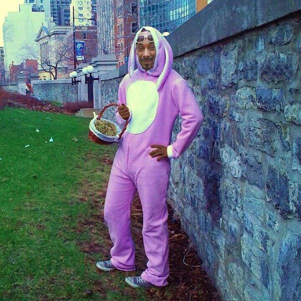 Content Image