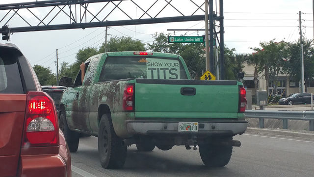 Morning Picdump
