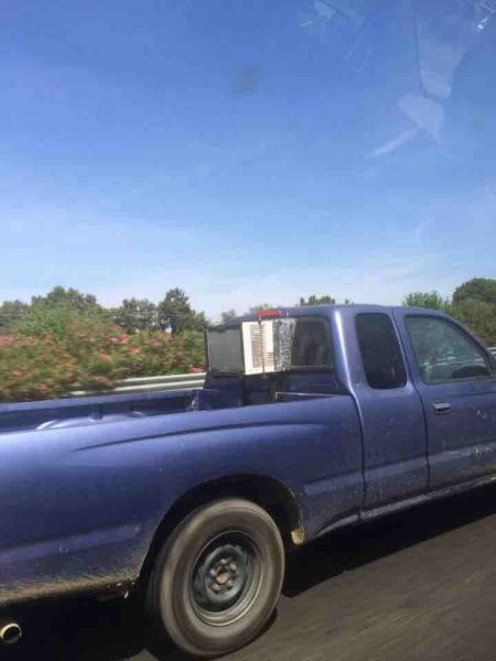 Morning Picdump