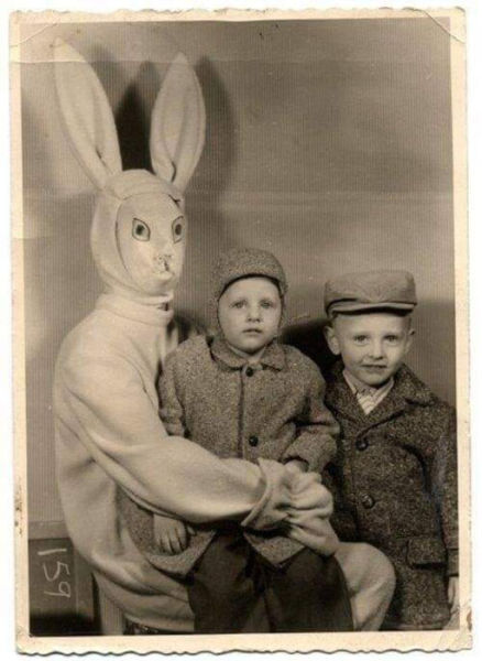 Content Image
