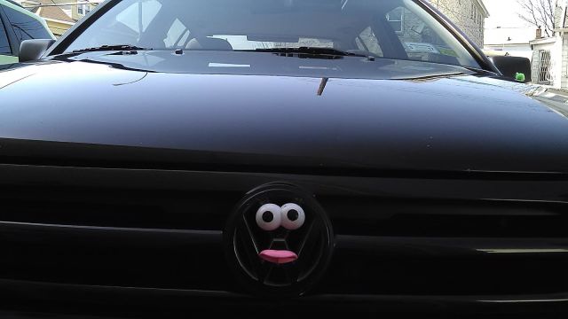 Morning Picdump
