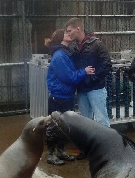 Daily Picdump
