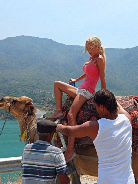 Daily Picdump