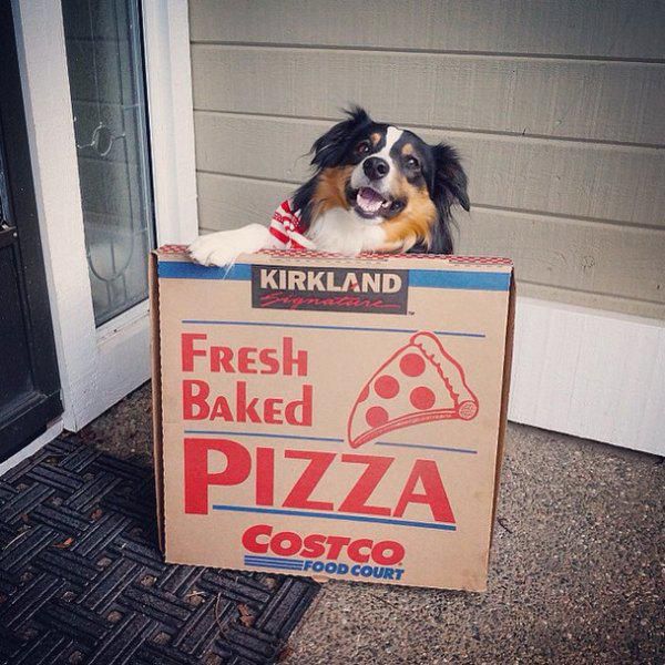 Daily Picdump