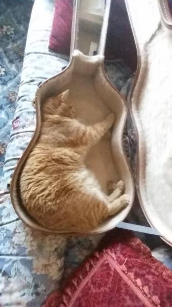 Content Image
