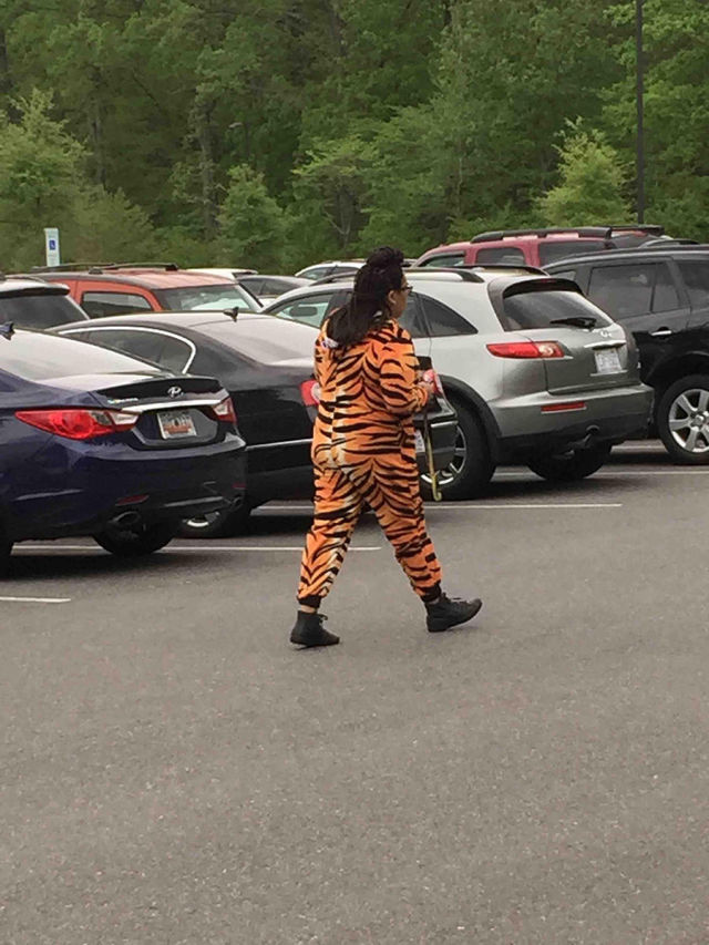 Content Image