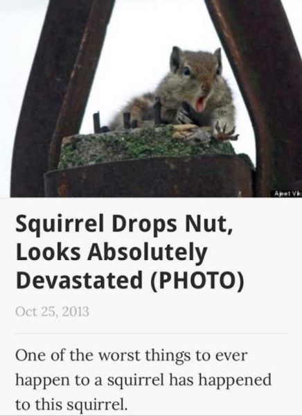 Daily Picdump
