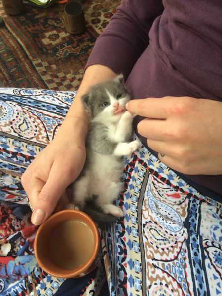 Daily Picdump