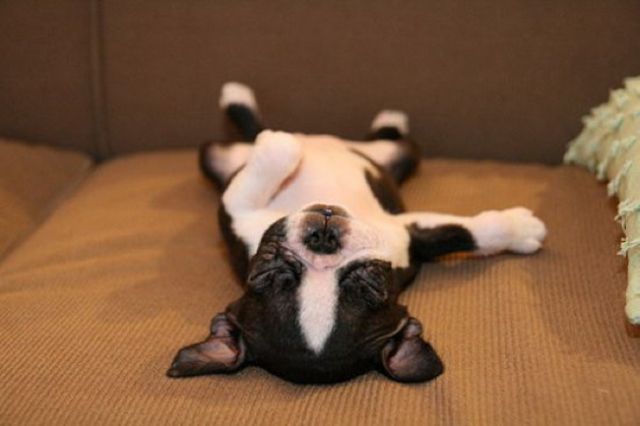 Daily Picdump