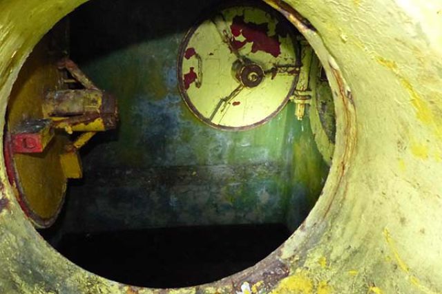 Scary Underground Tunnel Discovered Under a Neglected Home