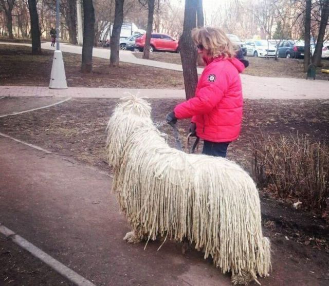 Daily Picdump