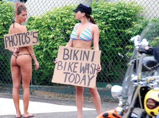 Daily Picdump