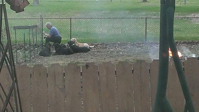 Morning Picdump