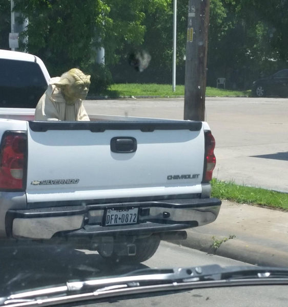 Morning Picdump