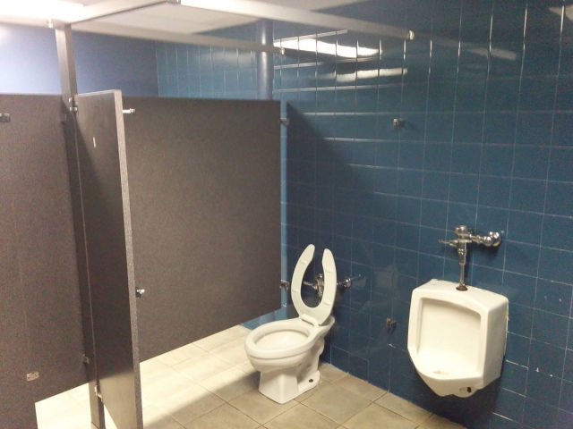 Content Image