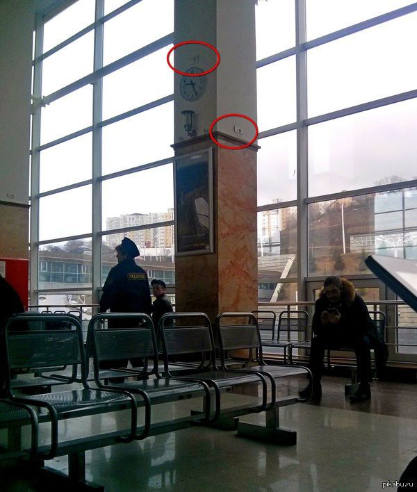 Morning Picdump