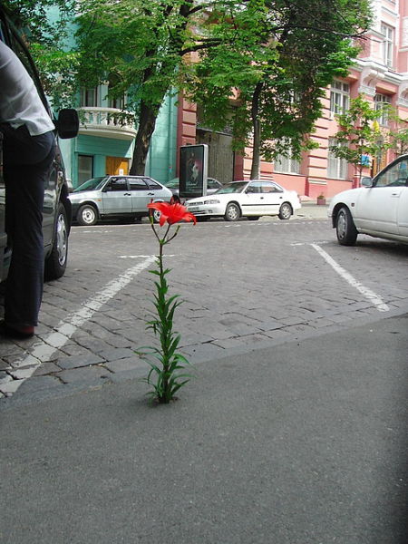Morning Picdump