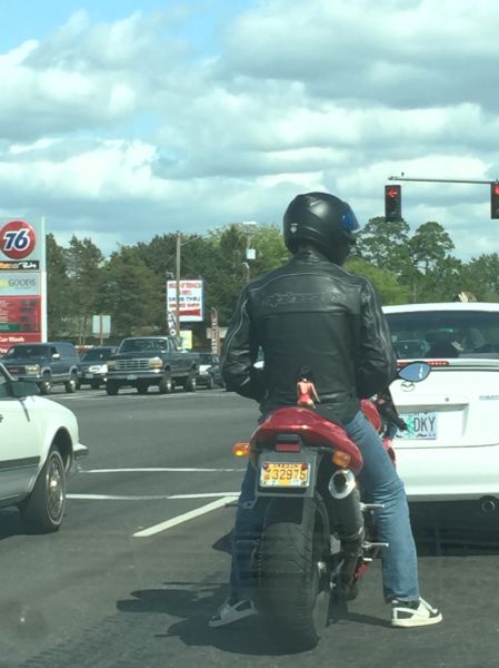 Morning Picdump