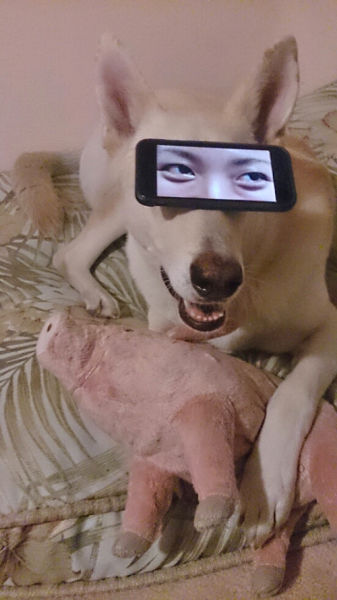 Content Image