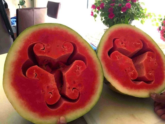 Morning Picdump